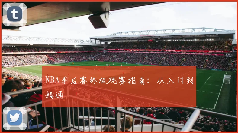 NBA季后赛终极观赛指南：从入门到精通
